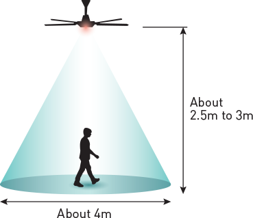 motion sensor ceiling fan